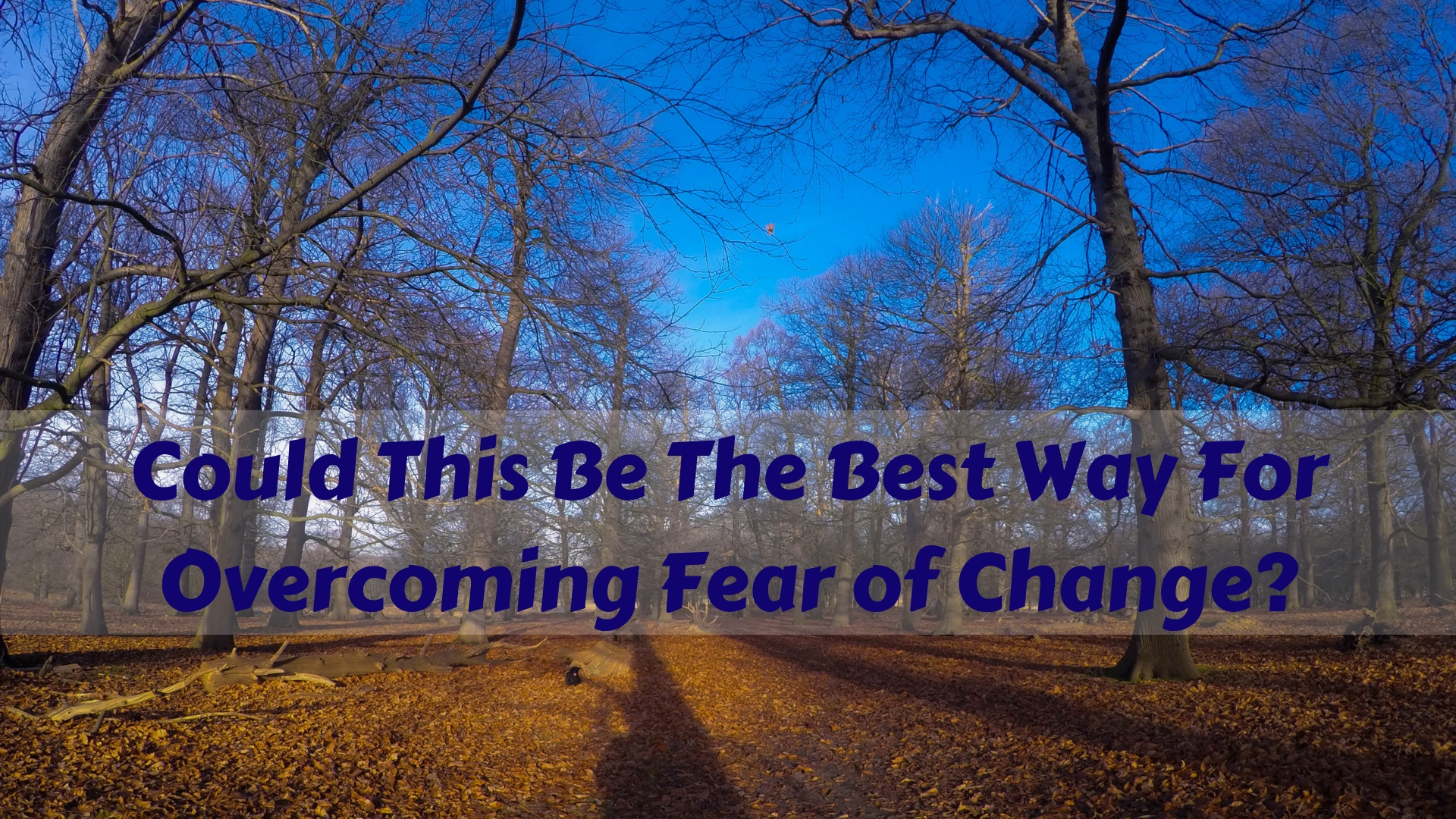 Overcoming Fear of Change